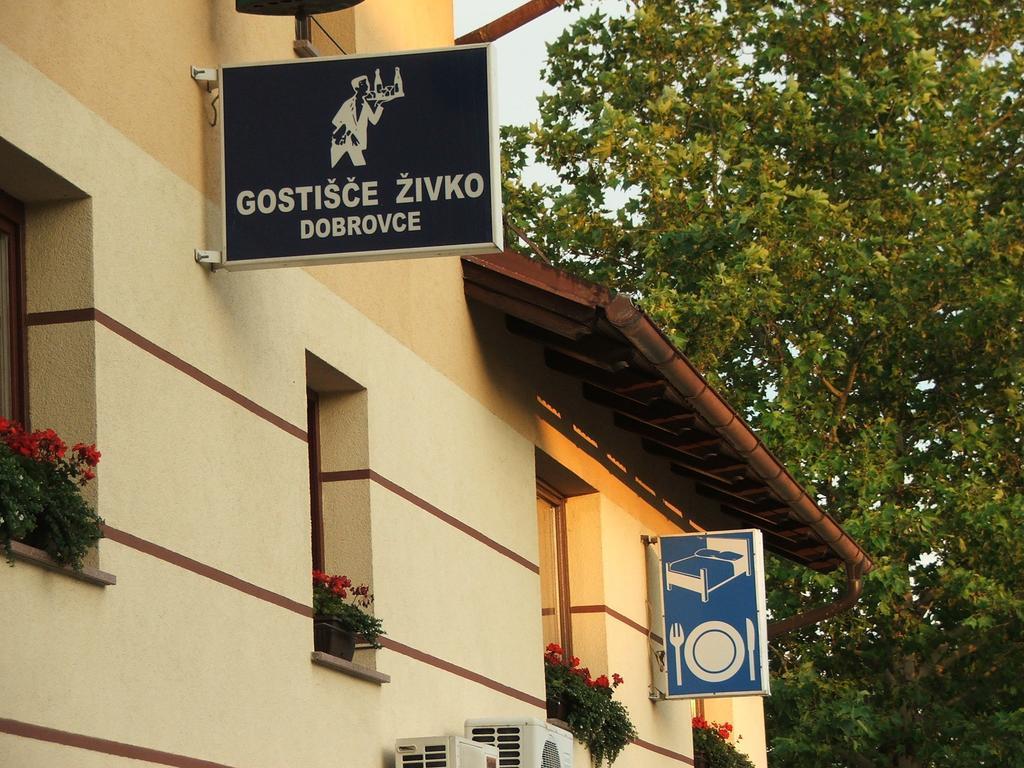 Guesthouse Zivko Dobrovce Ngoại thất bức ảnh
